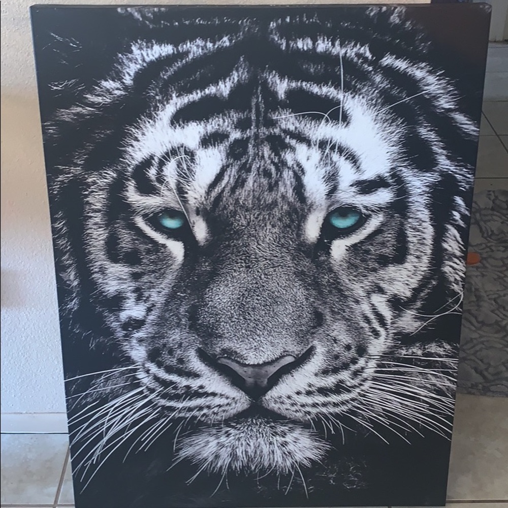 Tiger picture